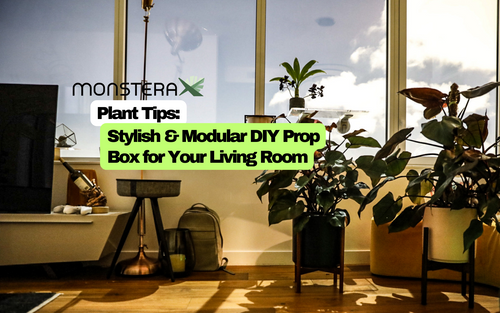 Plant Tips: Stylish & Modular DIY Prop Box for Your Living Room