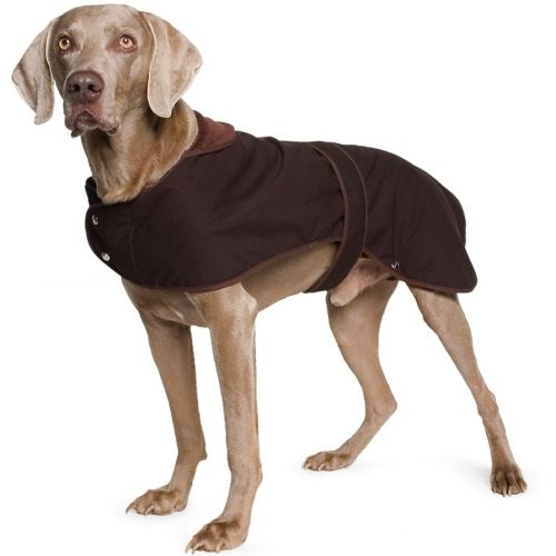 waxed dog coat