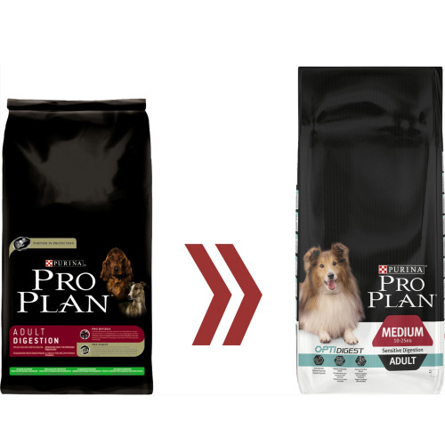 Food To Help Dog Digestion Food To Help Dog Digestion