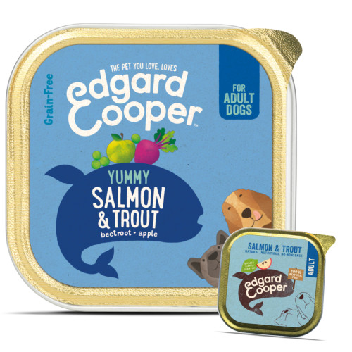 EdgardCooper Salmon & Trout Grain Free Wet Adult Dog Food