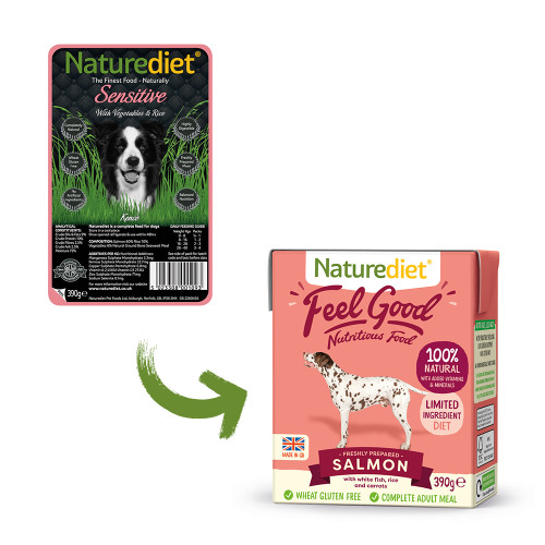 Naturediet Feel Good Salmon Adult Wet Dog Food Cartons