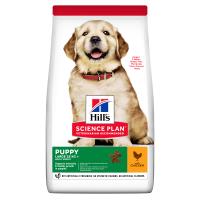Hills Science Plan Large Breed Puppy Chicken Dry Dog Food