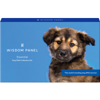 Wisdom Panel Essentials Dog DNA Testing Kit