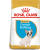 Royal Canin French Bulldog Dry Puppy Dog Food