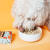 Pooch & Mutt Multipack Adult Wet Dog Food Cartons