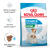 Royal Canin Mini Starter Mother & Babydog Dry Adult and Puppy Food