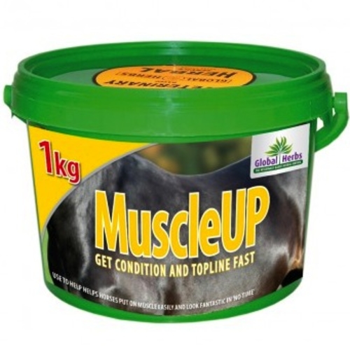 Global Herbs MuscleUP Horse Supplement