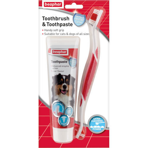 dog dental kit