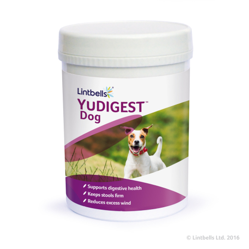Yudigest Dog Bioactiv Dog Supplement