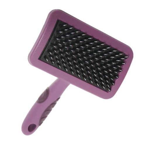 Rosewood Porcupine Dog Brush