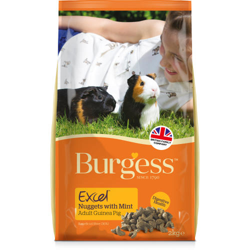 Burgess Excel Nuggets with Mint Guinea Pig Food