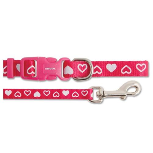 Small Bite Heart Collar & Lead Puppy Set