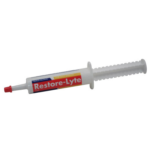 Equine Products Restore-Lyte Gel Syringe for Horses