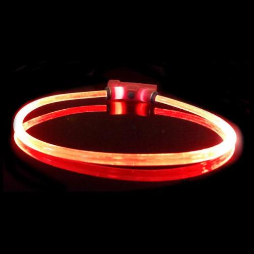 Red Dingo Lumitube Light Up Dog Collar
