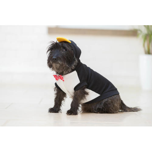 House of Paws Party Animal Penguin Dog Hoodie