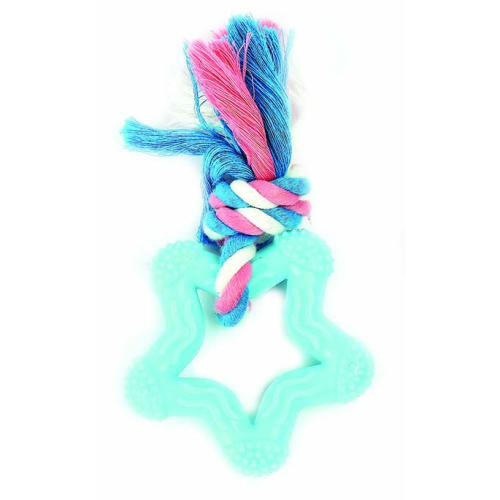 Little Rascals Star Teether Puppy Toy