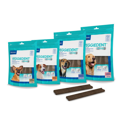 Virbac Veggie Dent Dental Dog Chews