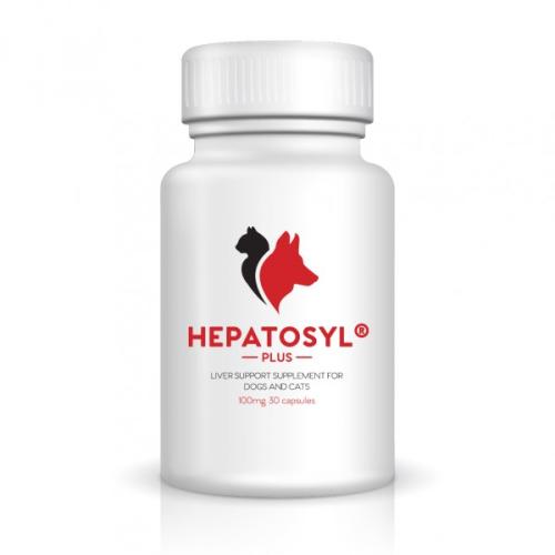 Hepatosyl Plus Liver Support Capsules for Cats & Dogs