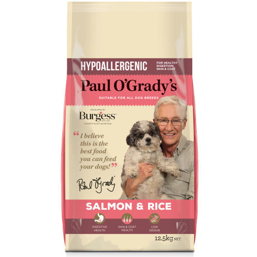 Paul O Gradys Hypoallergenic Salmon & Rice Adult Dog Food