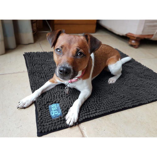 Henry Wag Microfibre Pet Mat