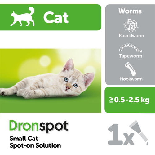 worm treatment for cats