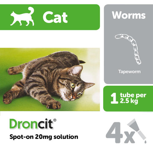 Droncit SpotOn 20mg Solution for Cats Pets