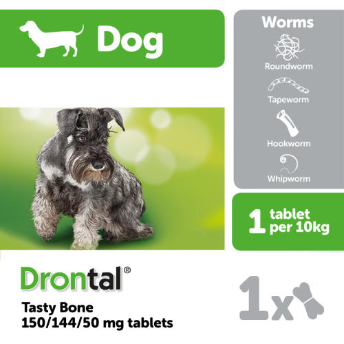 drontal plus for dogs