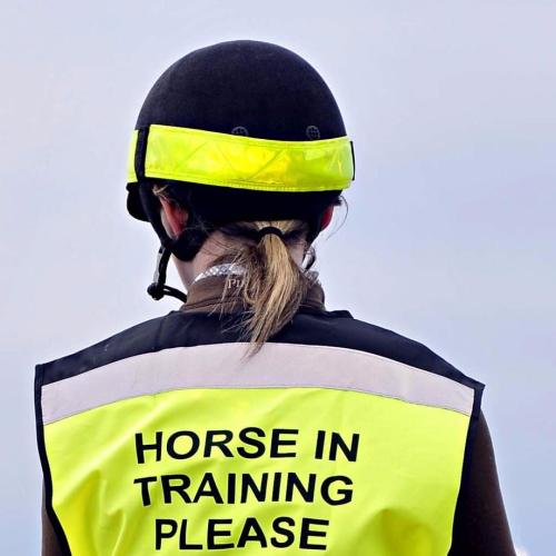 Equisafety Reflective Hat Band