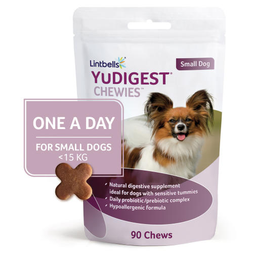 Yudigest Chewies One a Day Dog Digestion Supplement