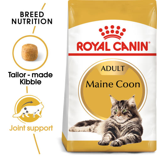 Royal Canin Maine Coon Dry Adult Cat Food