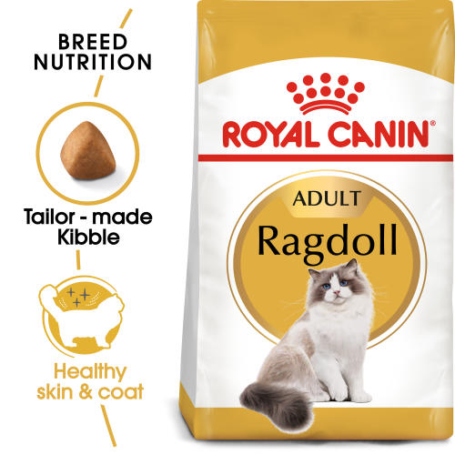 Royal Canin Ragdoll Dry Adult Cat Food