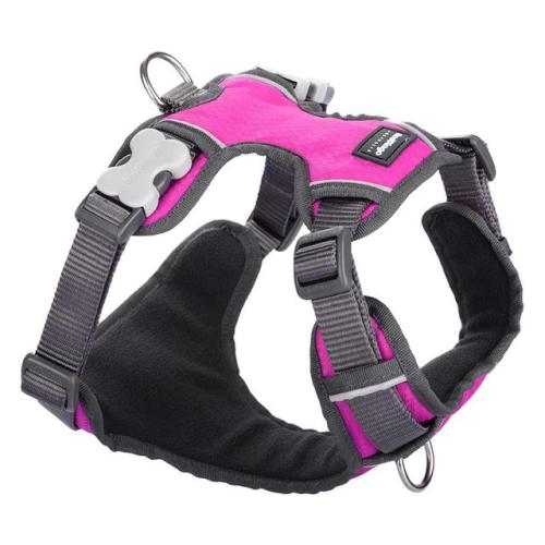 Red Dingo Padded Harness for Dogs in Hot Pink