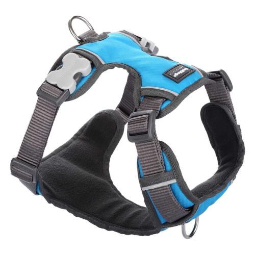 Red Dingo Padded Harness for Dogs in Turquoise