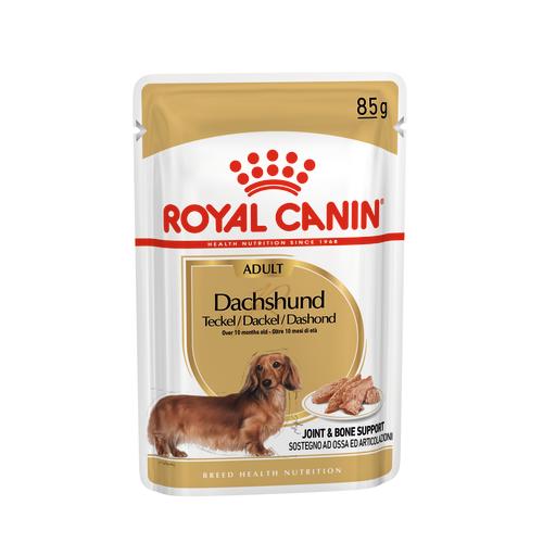 Royal Canin Dachshund Wet Adult Dog Food Pouches