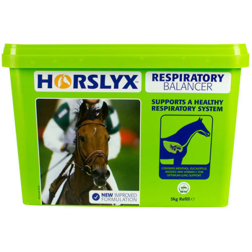 Horslyx Respiratory Lick for Horses