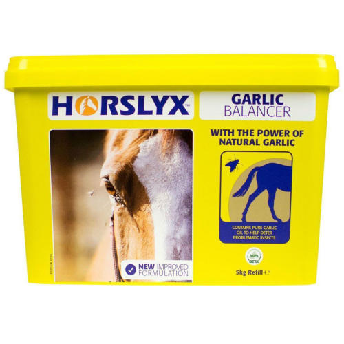 Horslyx Garlic Balancer Lick for Horses
