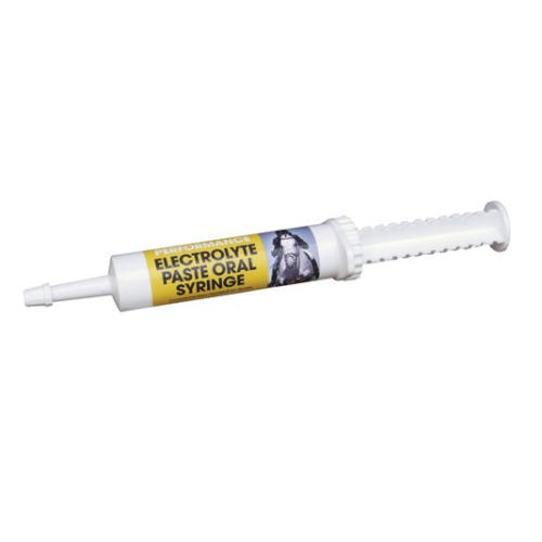 Equimins Electrolyte Paste Horse Supplement