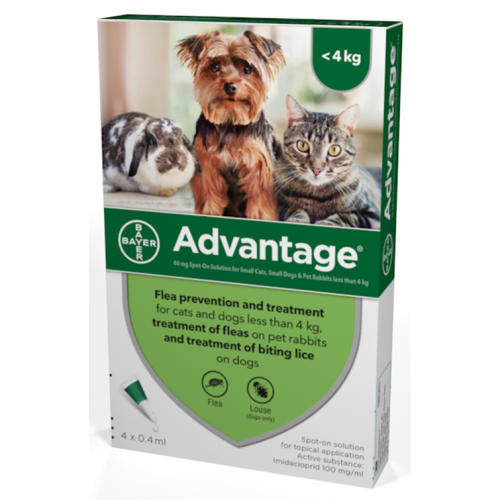 Advantage Flea Control From £10.75 