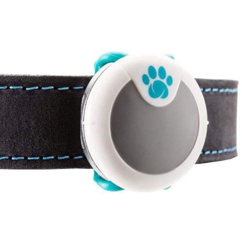 Sure Petcare Animo Activity & Behaviour Monitor for Dogs