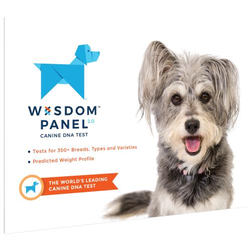 Wisdom Panel 2.0 Dog DNA Testing Kit