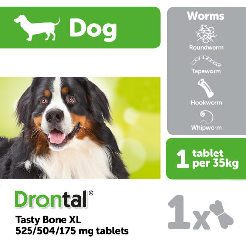 Drontal Dog Tasty Bone XL Worming 