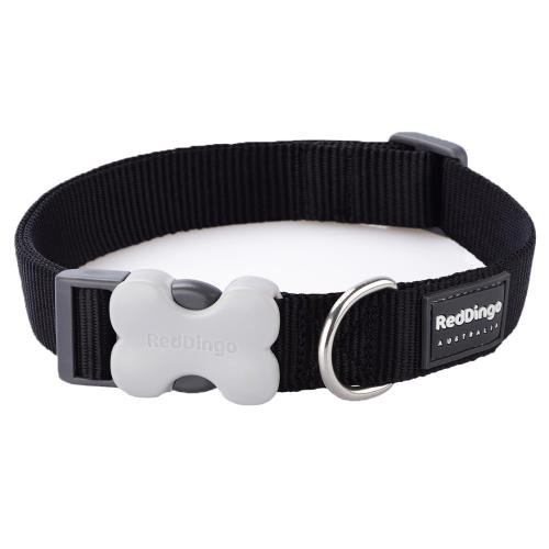 Red Dingo Dog Collar Classic Black
