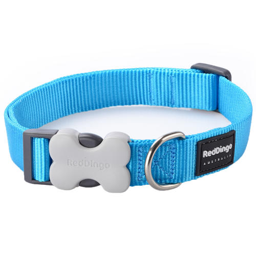 Red Dingo Classic Blue Dog Collar