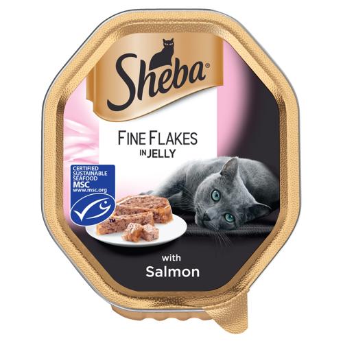 Sheba Fine Flakes Salmon in Jelly Wet Cat Food Trays