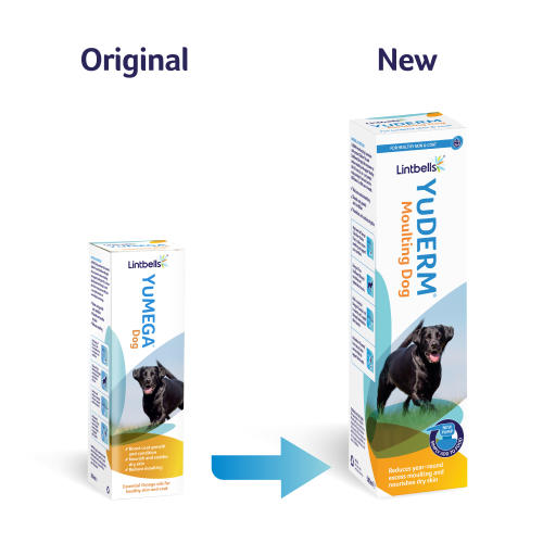 YuDERM Dog Skin & Coat Supplement