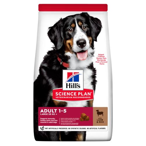 Hills Science Plan Large Breed Adult Lamb & Rice Dry Dog Food