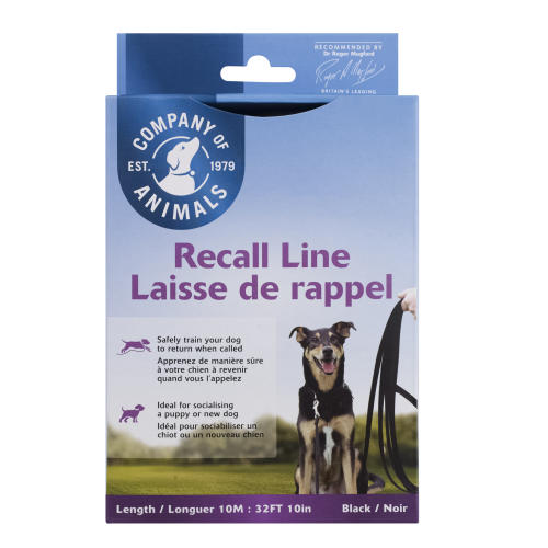 CLIX Training Recall Line Dog Lead