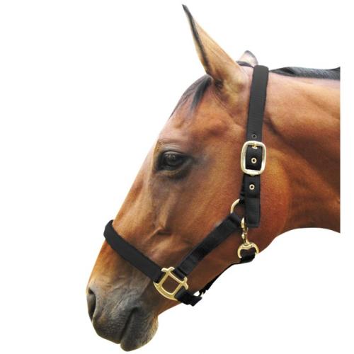 JHL Full Padded Headcollar for Horses