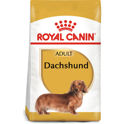 royal canin dachshund