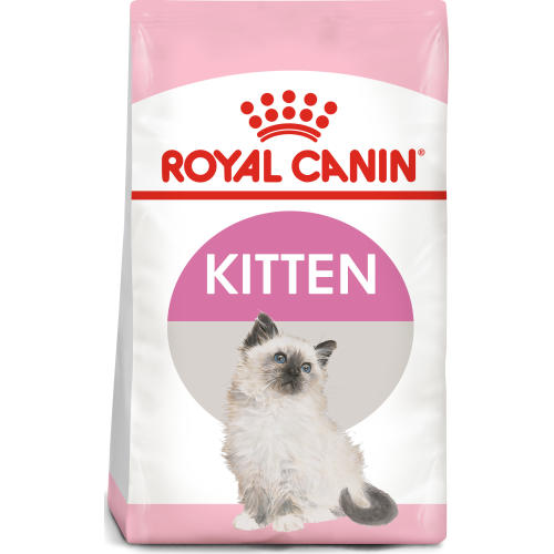 royal canin second age kitten dry food